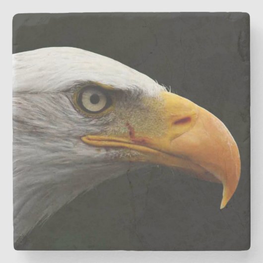 Bald Eagle Küstenercna Steinuntersetzer (Vorderseite)
