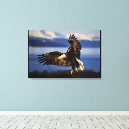 Bald Eagle Landing Wrapped Leinwanddruck (Insitu (Holzboden))