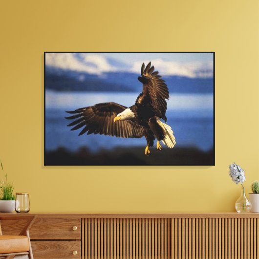 Bald Eagle Landing Wrapped Leinwanddruck (Insitu (Wohnzimmer))
