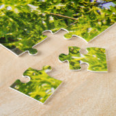 Bald Eagle Launch Puzzle (Seite)