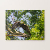 Bald Eagle Launch Puzzle (Horizontal)