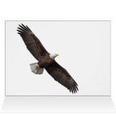 Bald Eagle Leap (Innenansicht Horizontal (Oben))