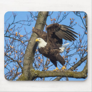Bald Eagle Leap Mousepad