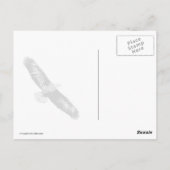 Bald Eagle Leap Postkarte (Rückseite)