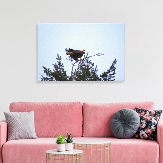 Bald Eagle Leinwanddruck (Insitu (Wohnzimmer))