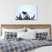 Bald Eagle Leinwanddruck (Insitu (Schlafzimmer))