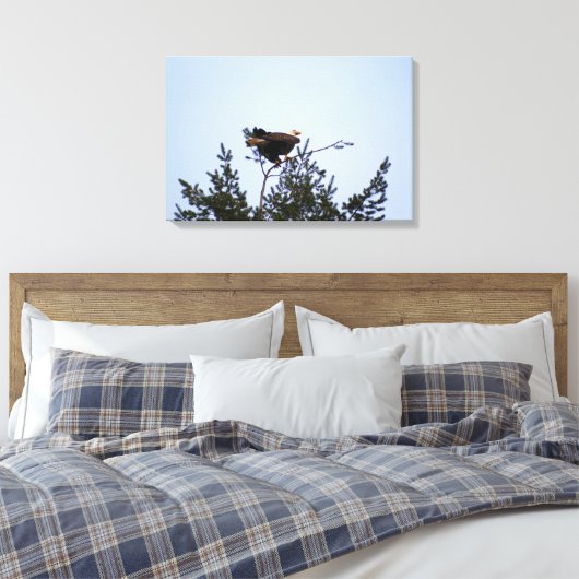 Bald Eagle Leinwanddruck (Insitu (Schlafzimmer))