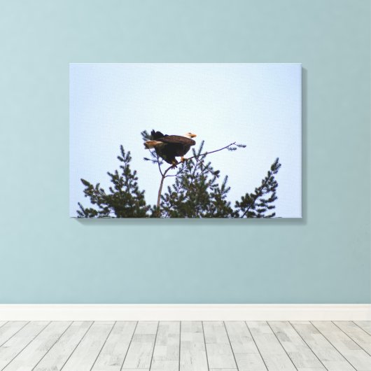 Bald Eagle Leinwanddruck (Insitu (Holzboden))