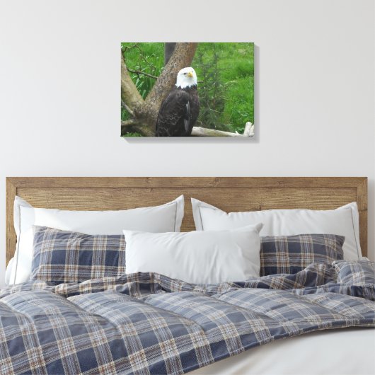 Bald Eagle Leinwanddruck (Insitu (Schlafzimmer))