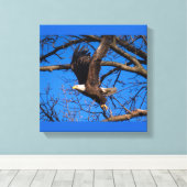 Bald Eagle Liftoff Leinwanddruck (Insitu (Holzboden))