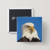 Bald Eagle Look Button (Vorne & Hinten)