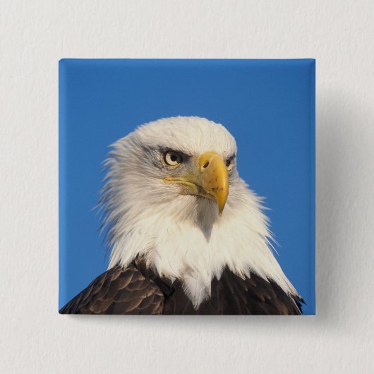 Bald Eagle Look Button (Vorderseite)