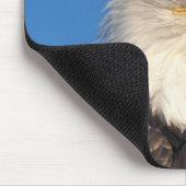 Bald Eagle Look Mousepad (Ecke)