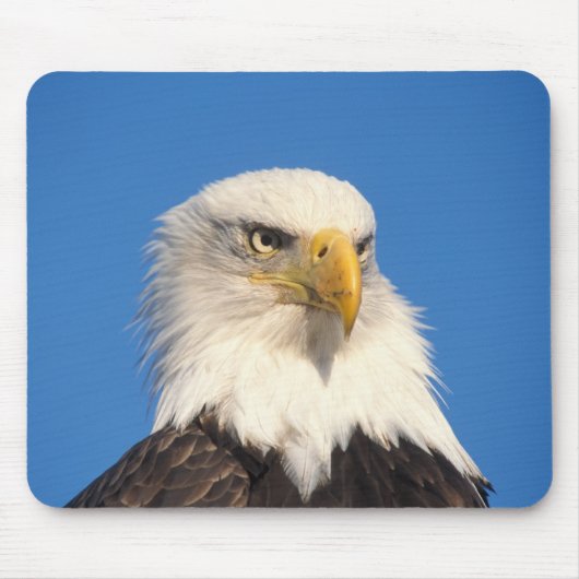 Bald Eagle Look Mousepad (Vorne)