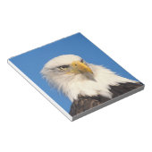 Bald Eagle Look Notizblock (angewinkelt)
