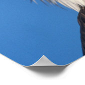 Bald Eagle Look Poster (Ecke)