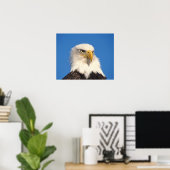 Bald Eagle Look Poster (Heimbüro)