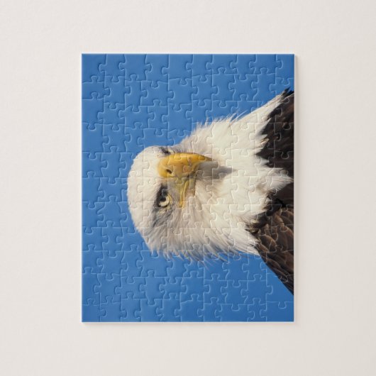 Bald Eagle Look Puzzle (Vertikal)