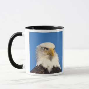Bald Eagle Look Tasse