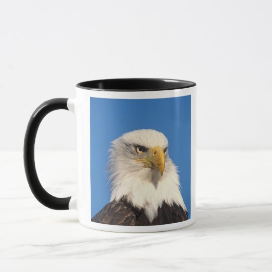Bald Eagle Look Tasse (Links)