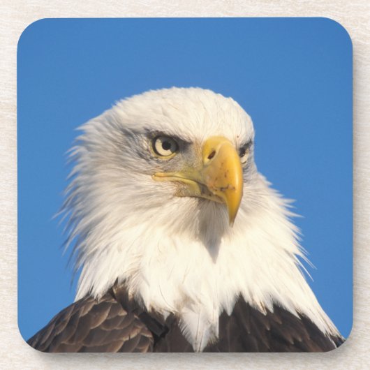 Bald Eagle Look Untersetzer (Vorderseite)