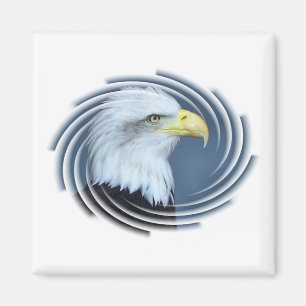 BALD EAGLE MAGNET