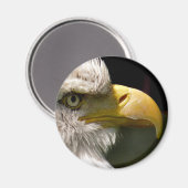 BALD EAGLE MAGNET (Vorderseite/Rückseite)