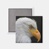 Bald Eagle Magnet (Vorderseite/Rückseite)