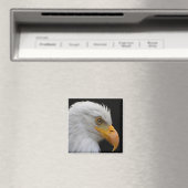Bald Eagle Magnet (In Situ (Geschirrspüler))