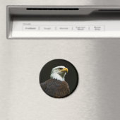 Bald Eagle Magnet (In Situ (Geschirrspüler))