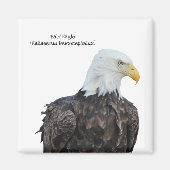 Bald Eagle Magnet (Vorne)