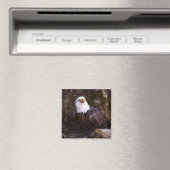 Bald Eagle Magnet (In Situ (Geschirrspüler))