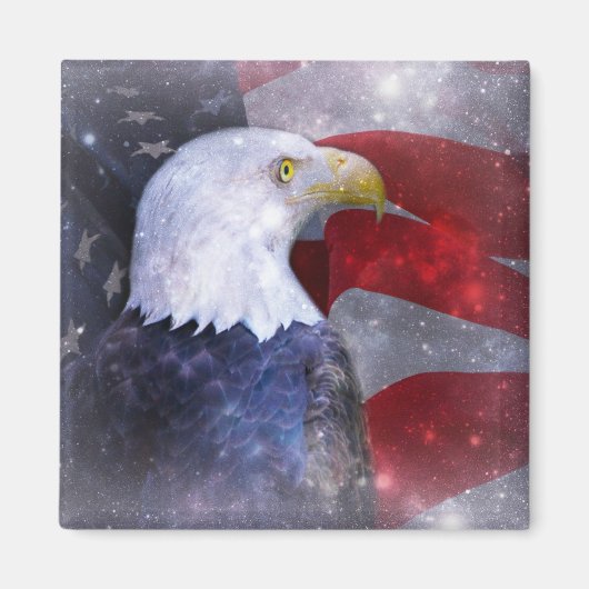Bald Eagle Magnet (Vorne)