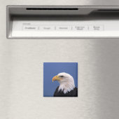 Bald Eagle Magnet (In Situ (Geschirrspüler))