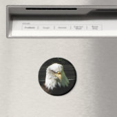 Bald Eagle Magnet (In Situ (Geschirrspüler))