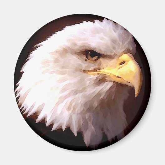Bald Eagle Magnet (Vorne)
