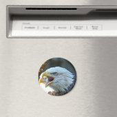Bald Eagle Magnet (In Situ (Geschirrspüler))