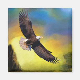 Bald Eagle Magnet