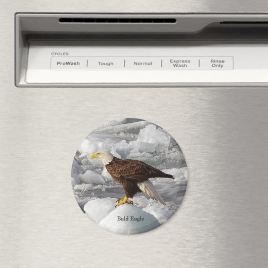 Bald-Eagle-Magnet Magnet (In Situ (Geschirrspüler))