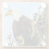 Bald Eagle mit Crow Photobomb Funny Glasuntersetzer (Rückseite)