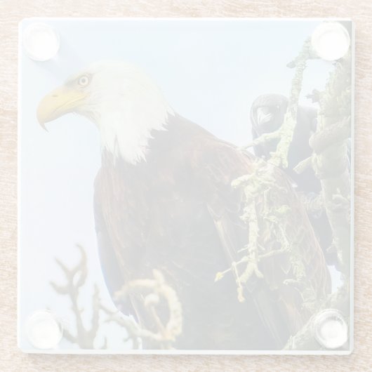 Bald Eagle mit Crow Photobomb Funny Glasuntersetzer (Rückseite)