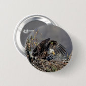 Bald Eagle mit ihrem Baby Button (Vorne & Hinten)