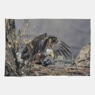 Bald Eagle mit ihrem Baby Handtuch