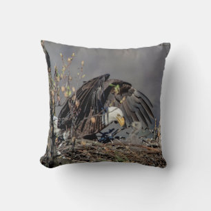 Bald Eagle mit ihrem Baby Kissen