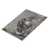 Bald Eagle mit ihrem Baby Notizblock (angewinkelt)
