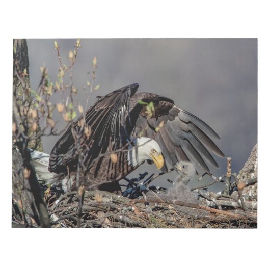 Bald Eagle mit ihrem Baby Notizblock (Vorderseite)