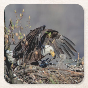 Bald Eagle mit ihrem Baby Rechteckiger Pappuntersetzer