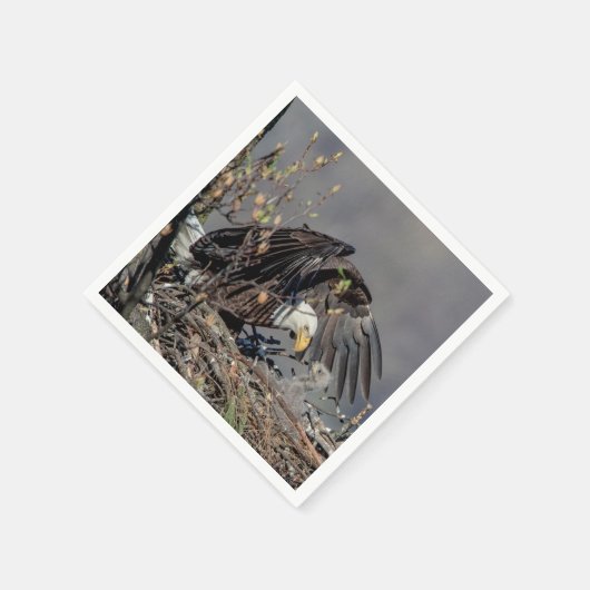 Bald Eagle mit ihrem Baby Serviette (Ecke)
