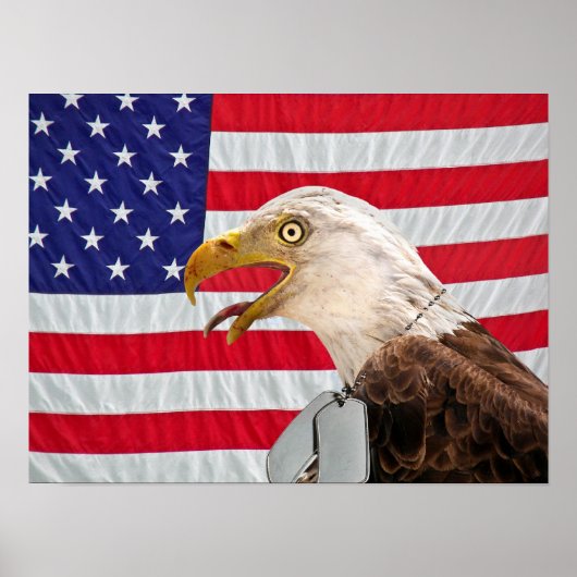 Bald Eagle mit Militärhundemarken Poster (Vorne)