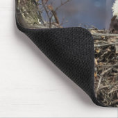 Bald Eagle mit schlechten Haaren Mousepad (Ecke)